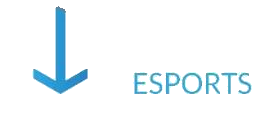 Init Esports